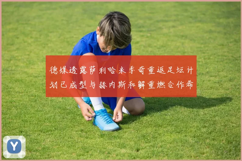 德媒透露萨利哈米季奇重返足坛计划已成型与赫内斯和解重燃合作希望